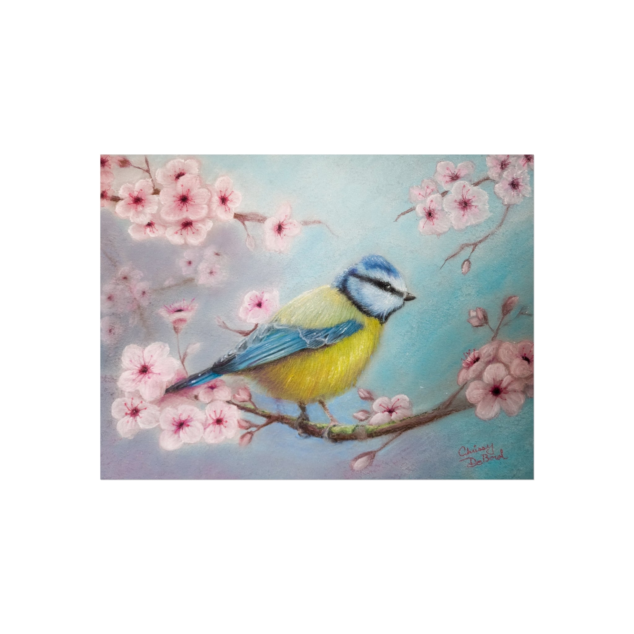 Blue Tit Bird Fine Art Poster — Cherry Blossom Wall Art Print
