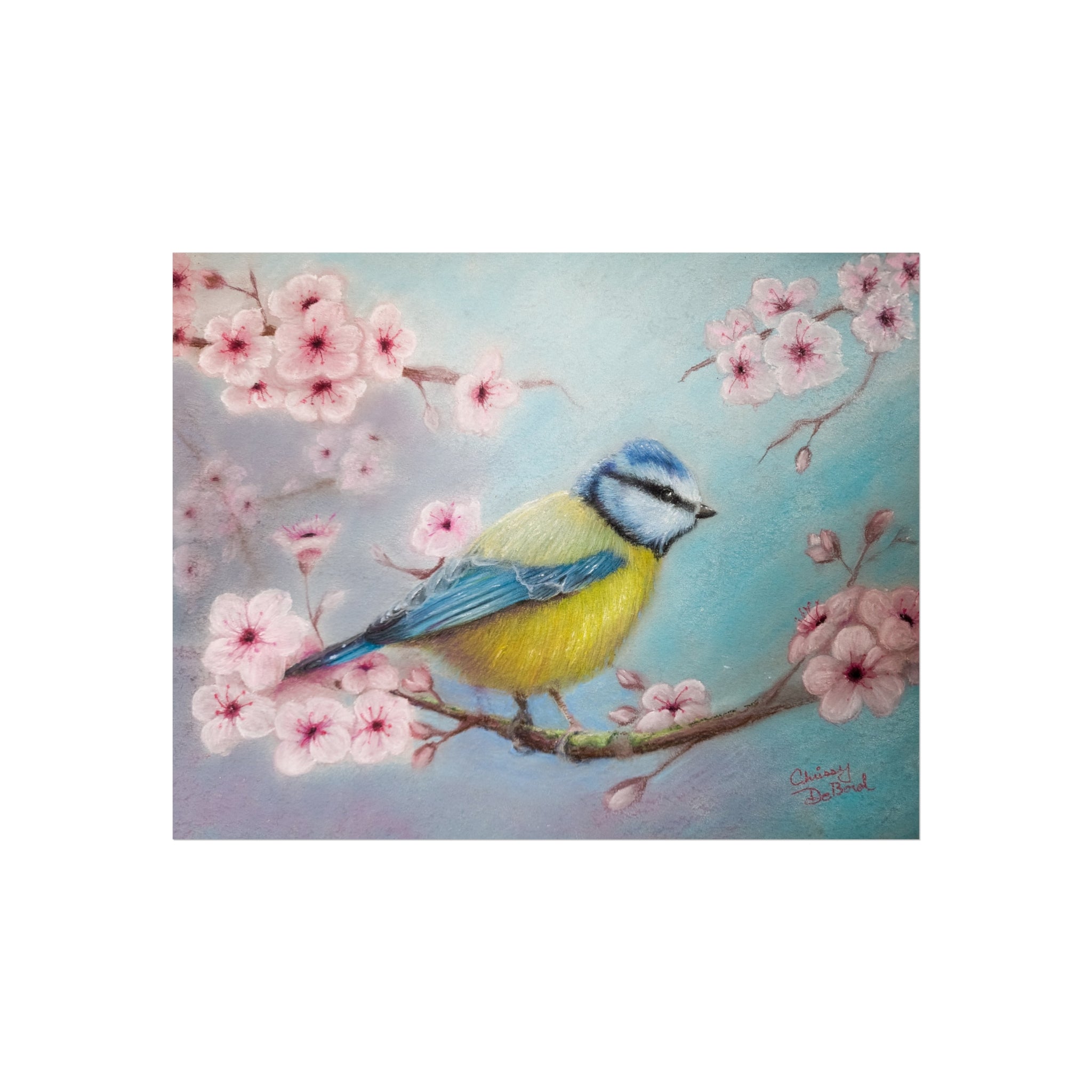 Blue Tit Bird Fine Art Poster — Cherry Blossom Wall Art Print