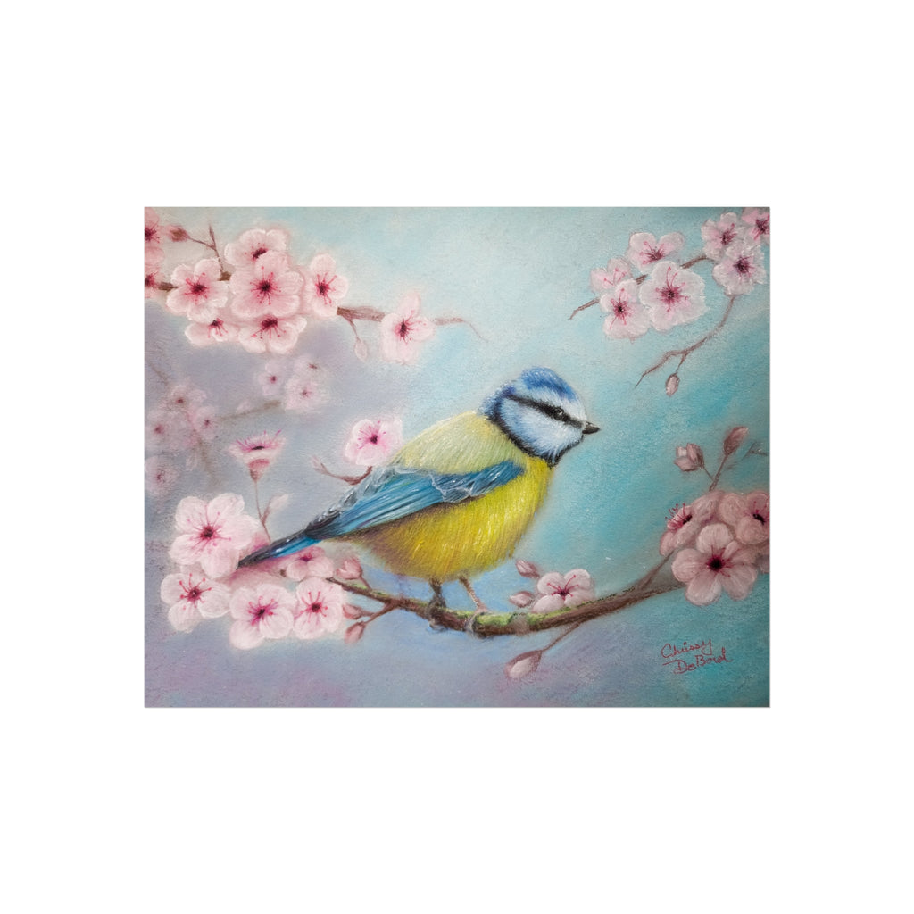 Blue Tit Bird Fine Art Poster — Cherry Blossom Wall Art Print