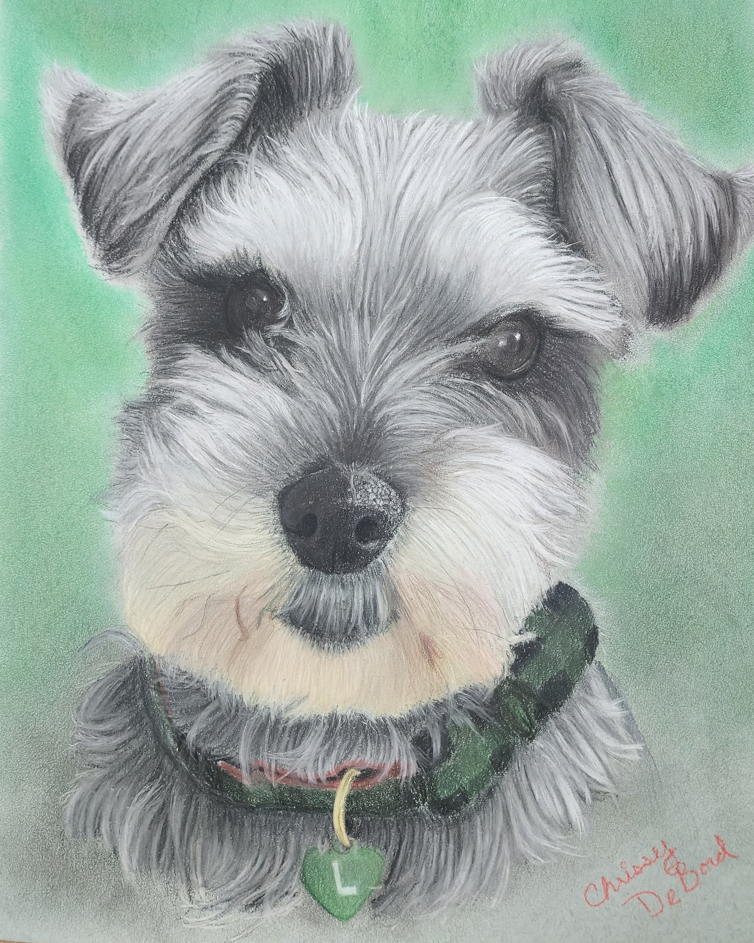 Custom Pet Portrait Commission