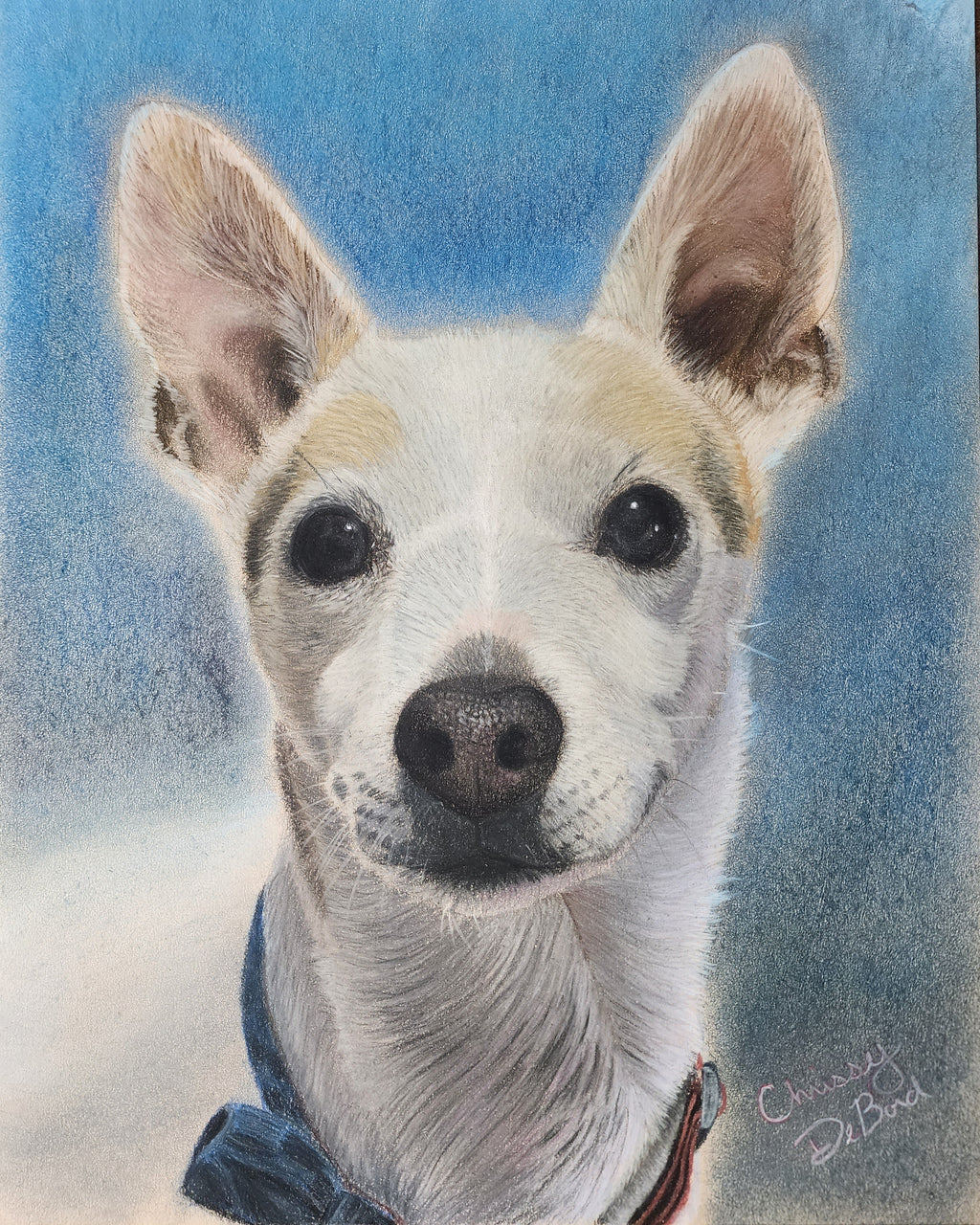 Custom Pet Portrait Commission