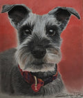 Custom Pet Portrait Commission