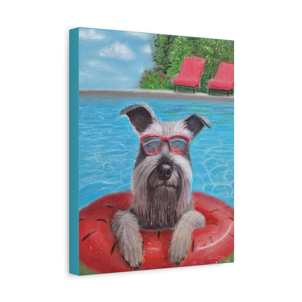 "Cool in the Pool" Canvas – Schnauzer in Sunglasses Original Wall Art